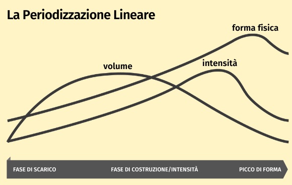 periodizzazione lineare