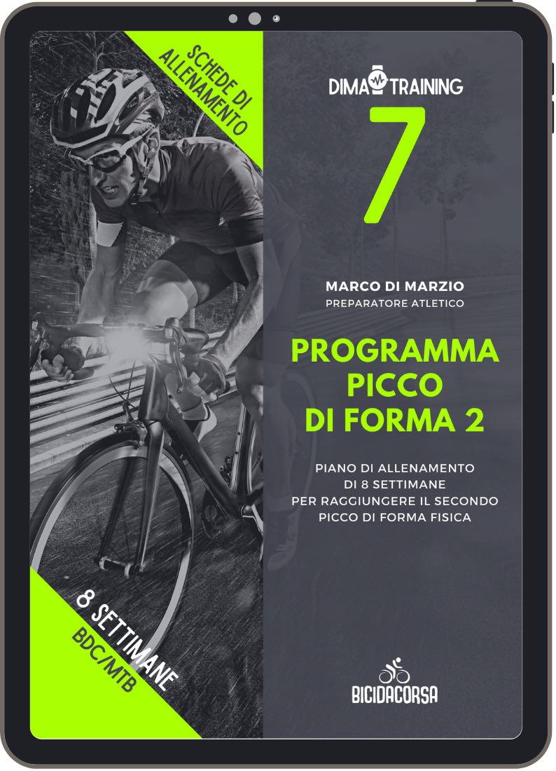 programma picco 2