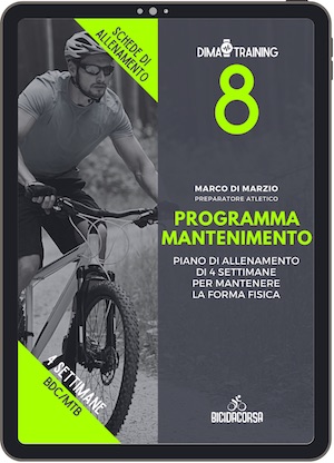 programma mantenimento